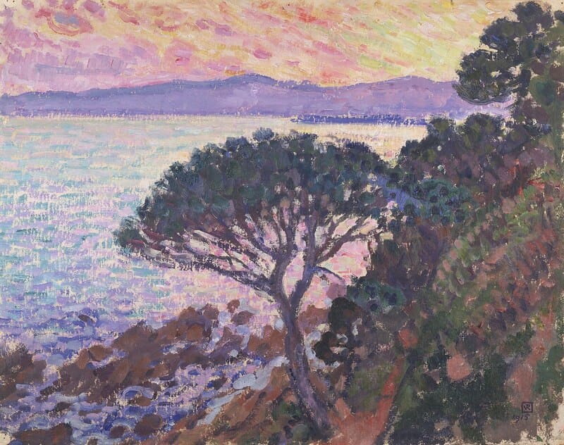 地中海の松、夕暮れ