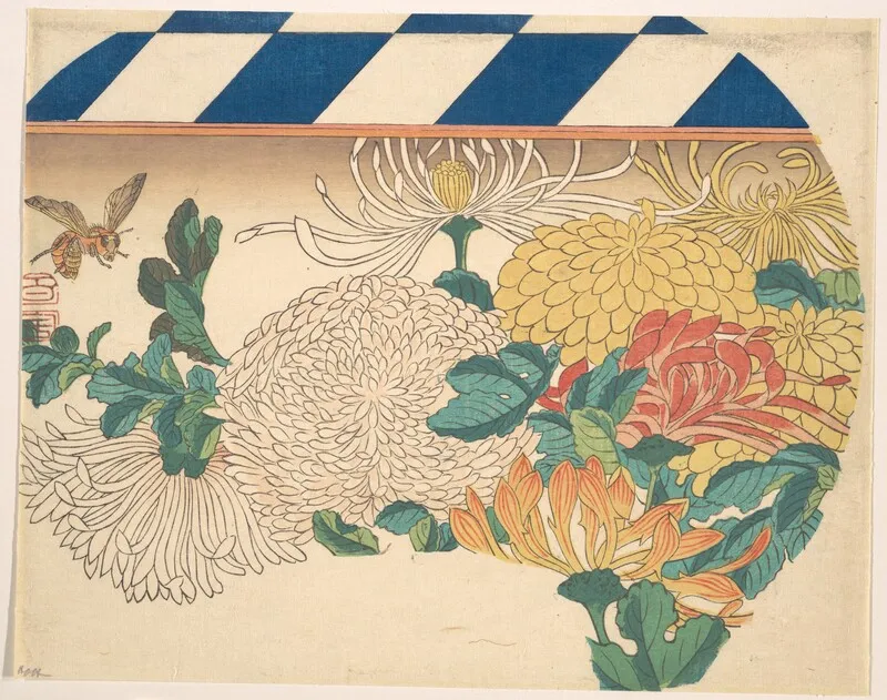 歌川広重《菊》1840年代、菊を描いた団扇形の多色木版画